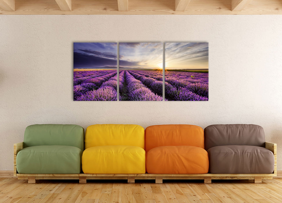 Traumhafte Lavendel Provence, XXL Leinwandbild als 3 Teiler