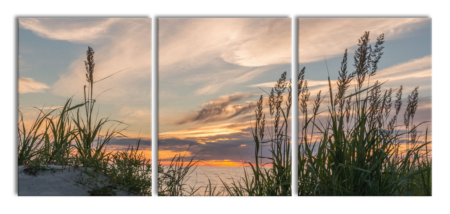 Gras am Strand bei Sonnenuntergang, XXL Leinwandbild als 3 Teiler