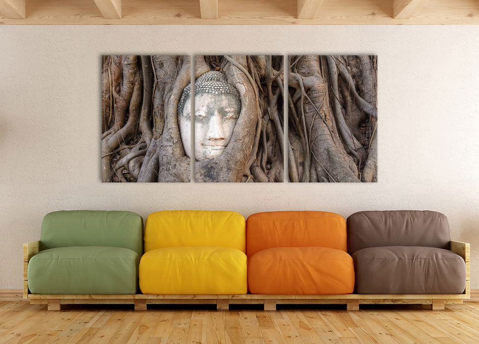 Buddha Kopf im Baum, XXL Leinwandbild als 3 Teiler