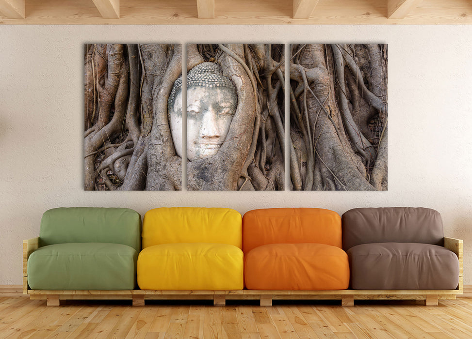 Buddha Kopf im Baum, XXL Leinwandbild als 3 Teiler