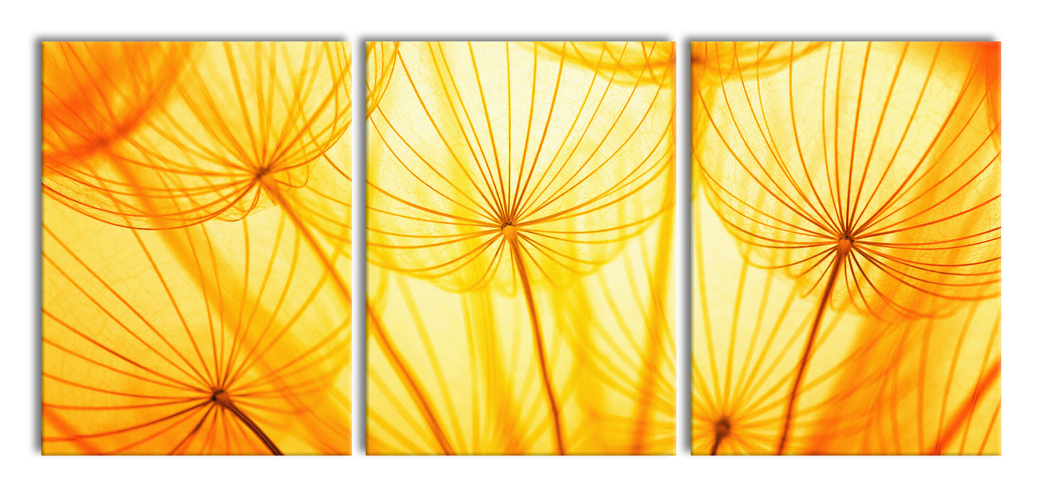 Pusteblumen oranges Licht, XXL Leinwandbild als 3 Teiler