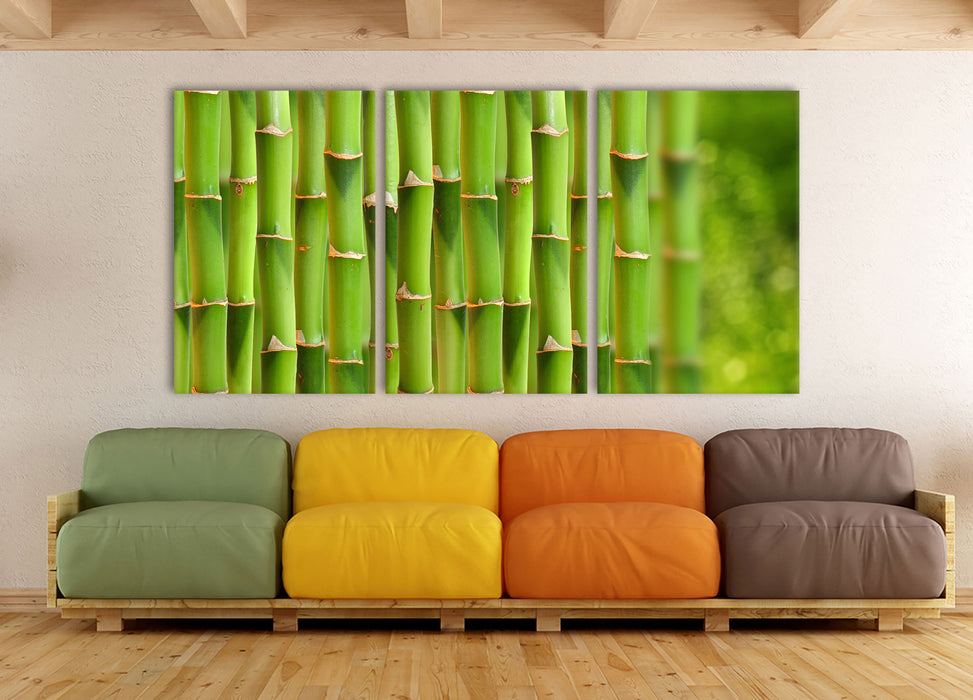 Grüner frischer Bambus, XXL Leinwandbild als 3 Teiler