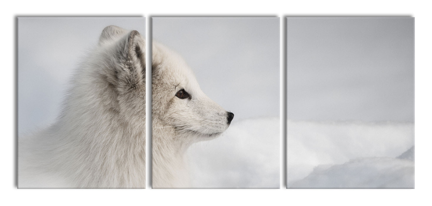 Anmutiger Polarfuchs im Schnee, XXL Leinwandbild als 3 Teiler