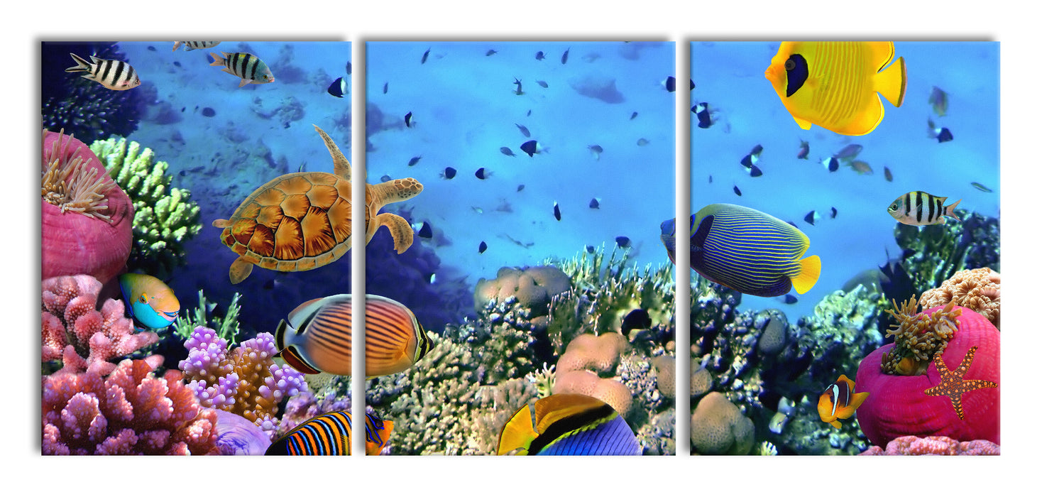 Fische über Korallenriff, XXL Leinwandbild als 3 Teiler