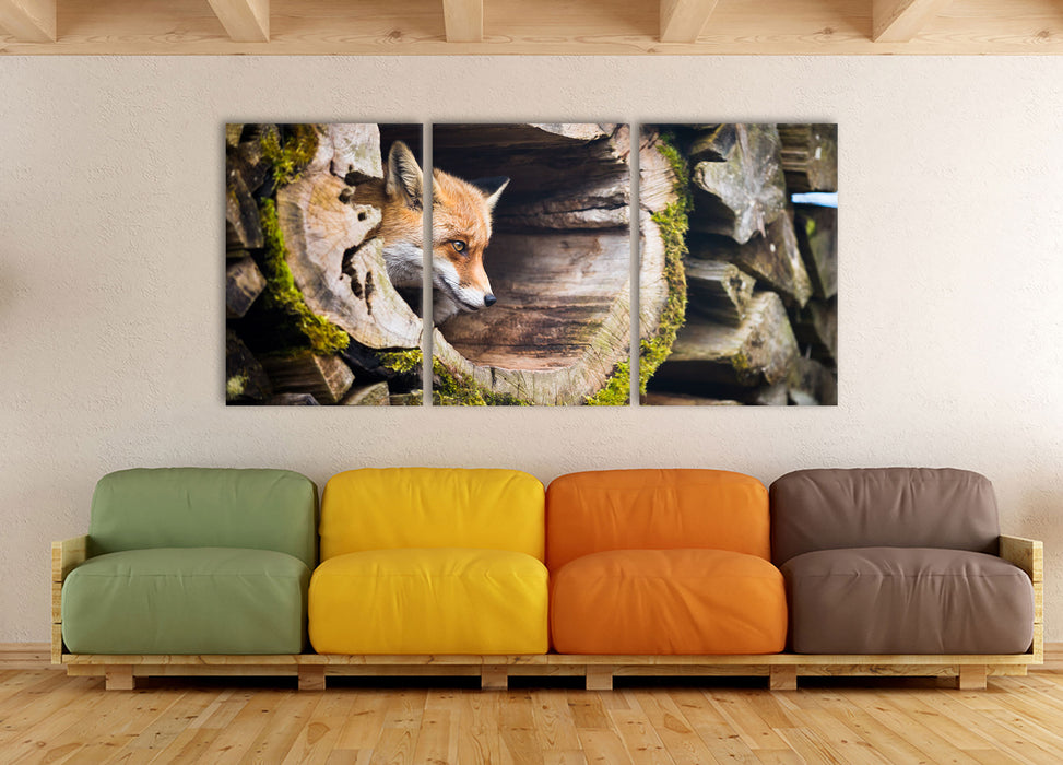 Fuchs im Baumstamm, XXL Leinwandbild als 3 Teiler