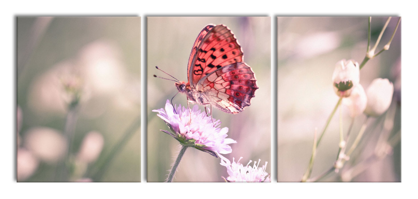 Bezaubernder Schmetterling, XXL Leinwandbild als 3 Teiler