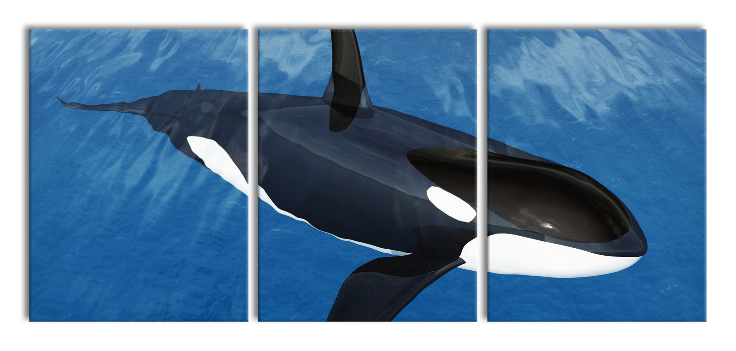 Orca im blauen Meer, XXL Leinwandbild als 3 Teiler