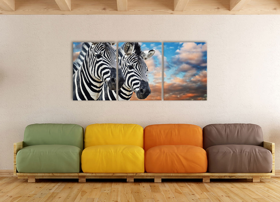 Zebra Pärchen, XXL Leinwandbild als 3 Teiler