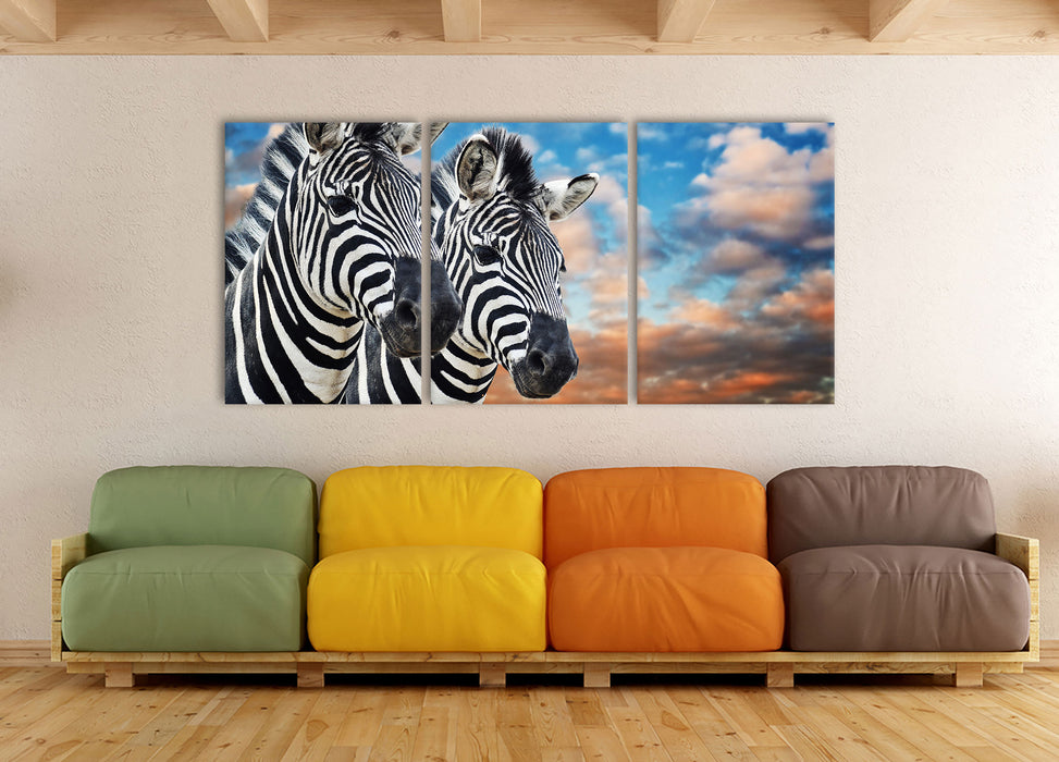 Zebra Pärchen, XXL Leinwandbild als 3 Teiler