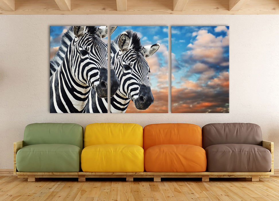 Zebra Pärchen, XXL Leinwandbild als 3 Teiler