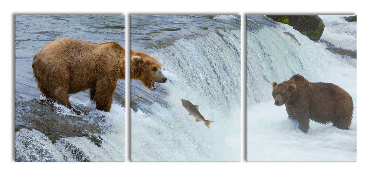 Bären fangen Lachs, XXL Leinwandbild als 3 Teiler