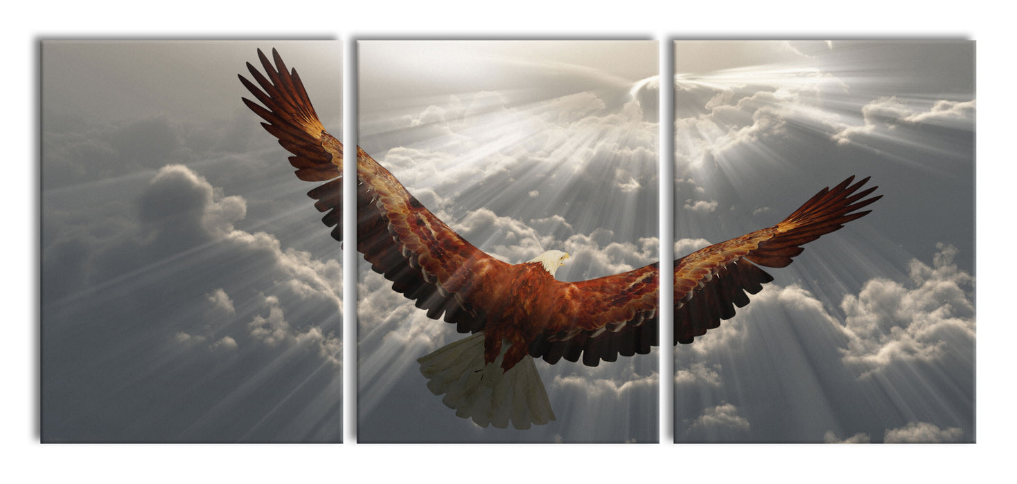 Adler über den Wolken, XXL Leinwandbild als 3 Teiler