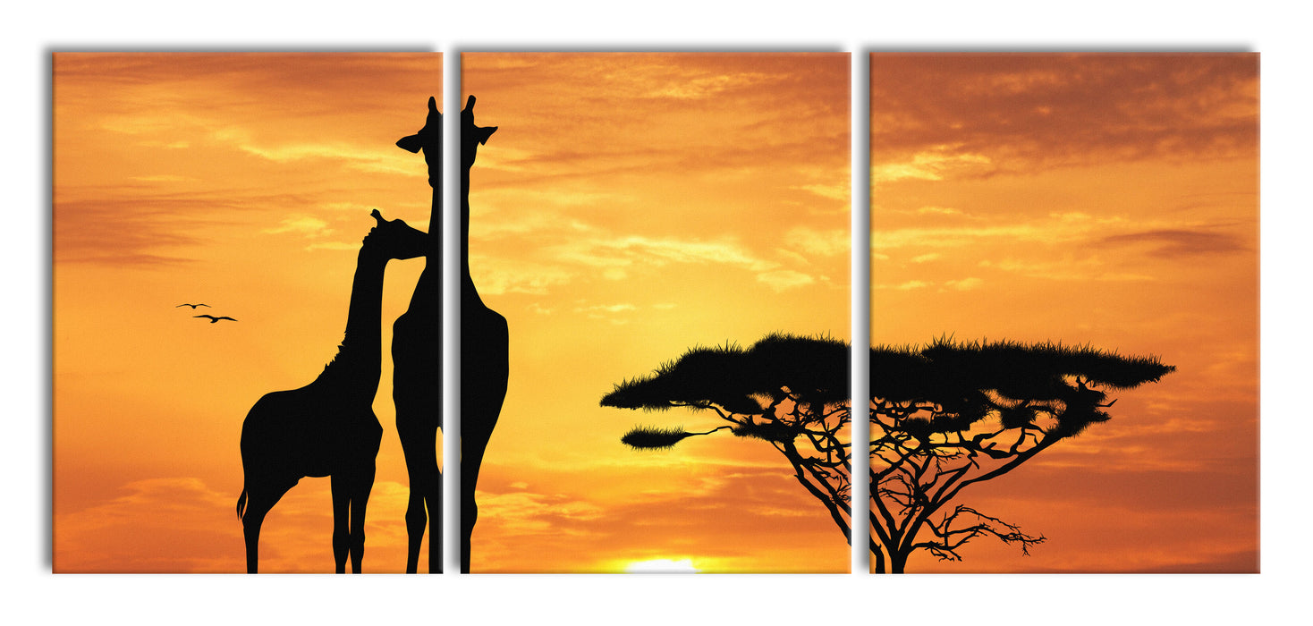 Giraffen im Sonnenuntergang, XXL Leinwandbild als 3 Teiler