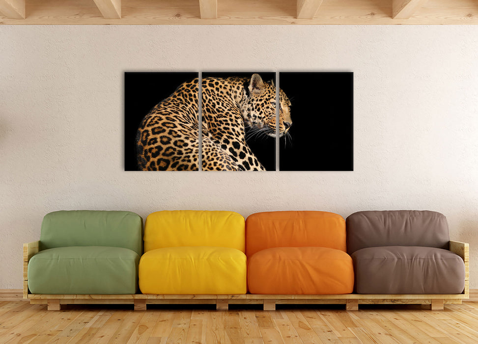 Anmutiger Leopard, XXL Leinwandbild als 3 Teiler