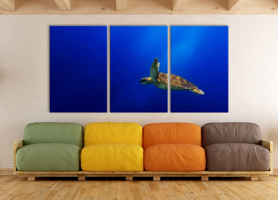 Alte Schildkröte im Meer, XXL Leinwandbild als 3 Teiler