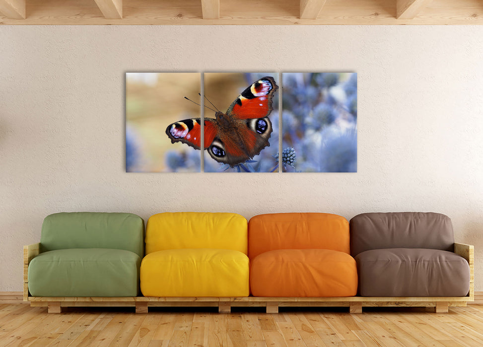 Schöner Schmetterling Pfauenauge, XXL Leinwandbild als 3 Teiler