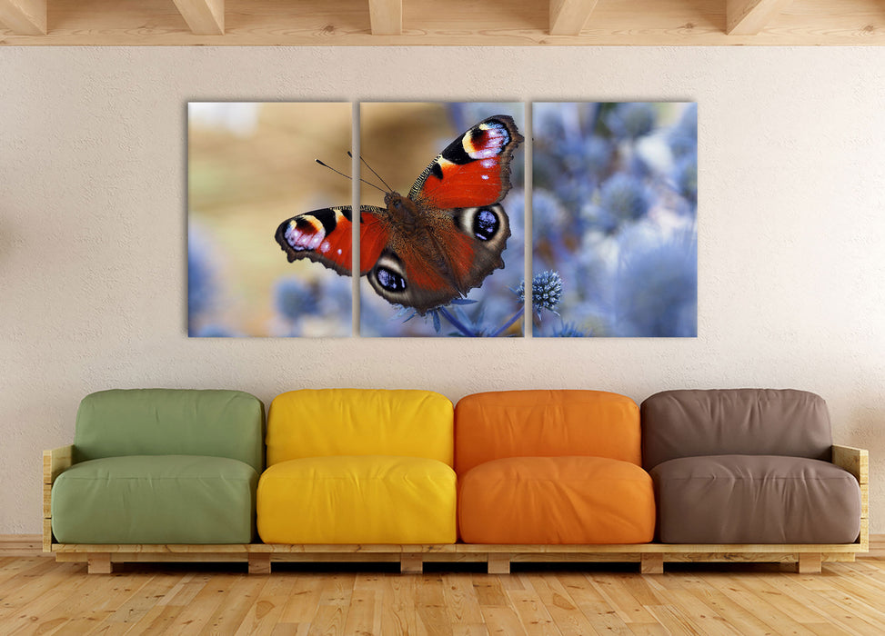 Schöner Schmetterling Pfauenauge, XXL Leinwandbild als 3 Teiler