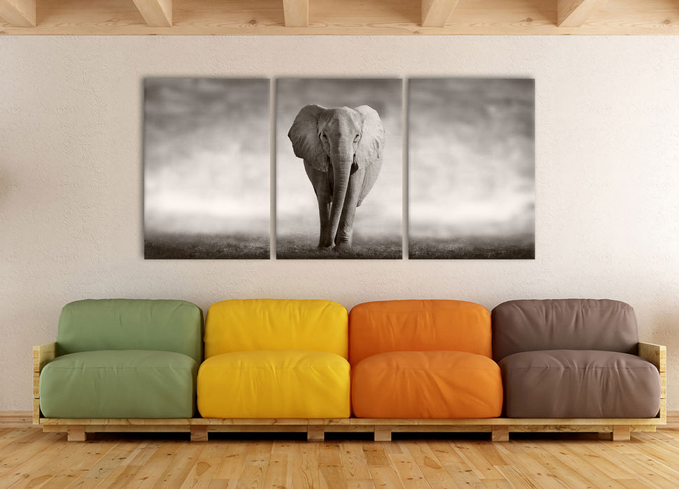 Einsamer Elefant, XXL Leinwandbild als 3 Teiler