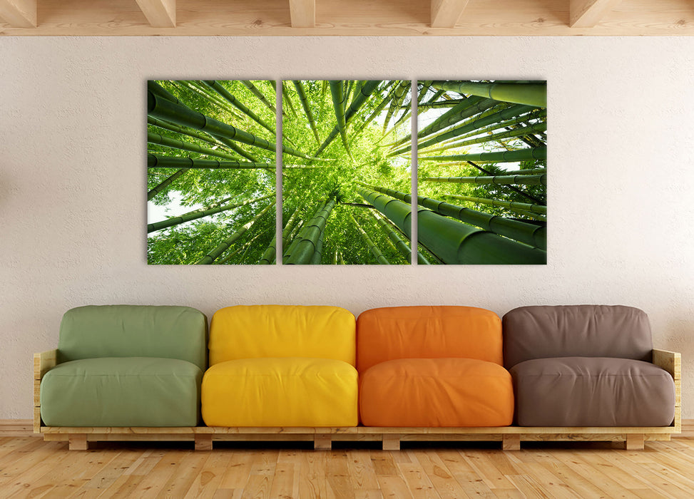 Grüner Bambus, XXL Leinwandbild als 3 Teiler