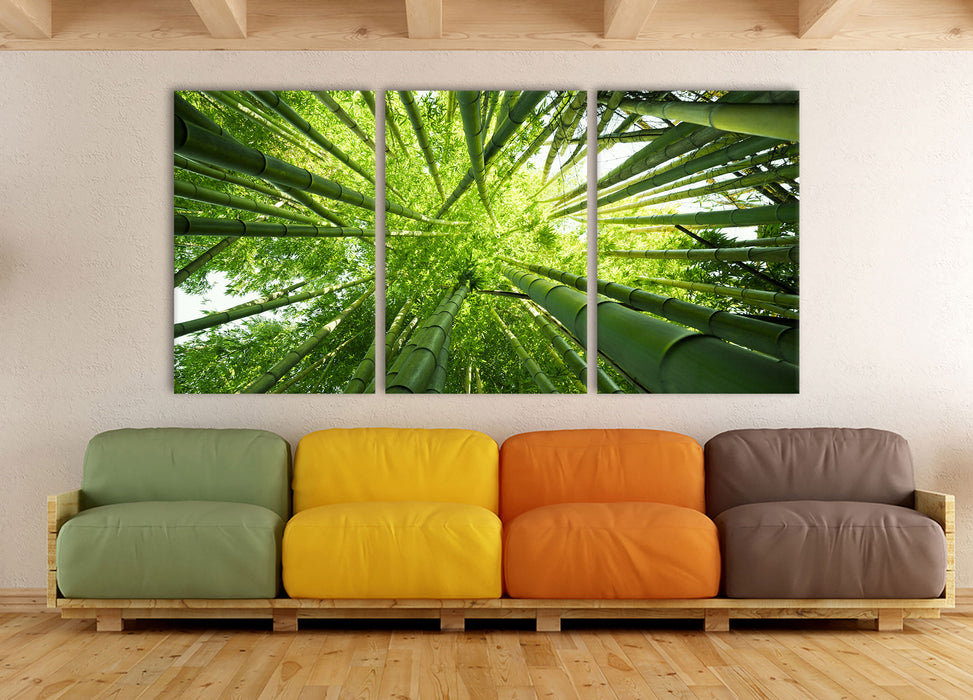 Grüner Bambus, XXL Leinwandbild als 3 Teiler