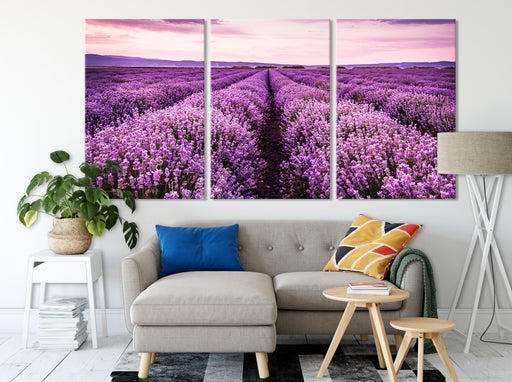 blühendes Lavendelfeld Leinwandbild Wohnzimmer XXL