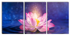 pinker Lotus im Wasser Leinwandbild XXL